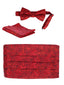 MEN'S ADJUSTABLE PAISLEY CUMMERBUND, BOW TIE & POCKET SQUARE SET