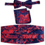 MEN'S ADJUSTABLE PAISLEY CUMMERBUND, BOW TIE & POCKET SQUARE SET