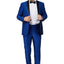 Men's Shiny Blue Shawl Lapel Tuxedo Slim Fit (2 PCS)