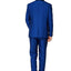 Men's Shiny Blue Shawl Lapel Tuxedo Slim Fit (2 PCS)